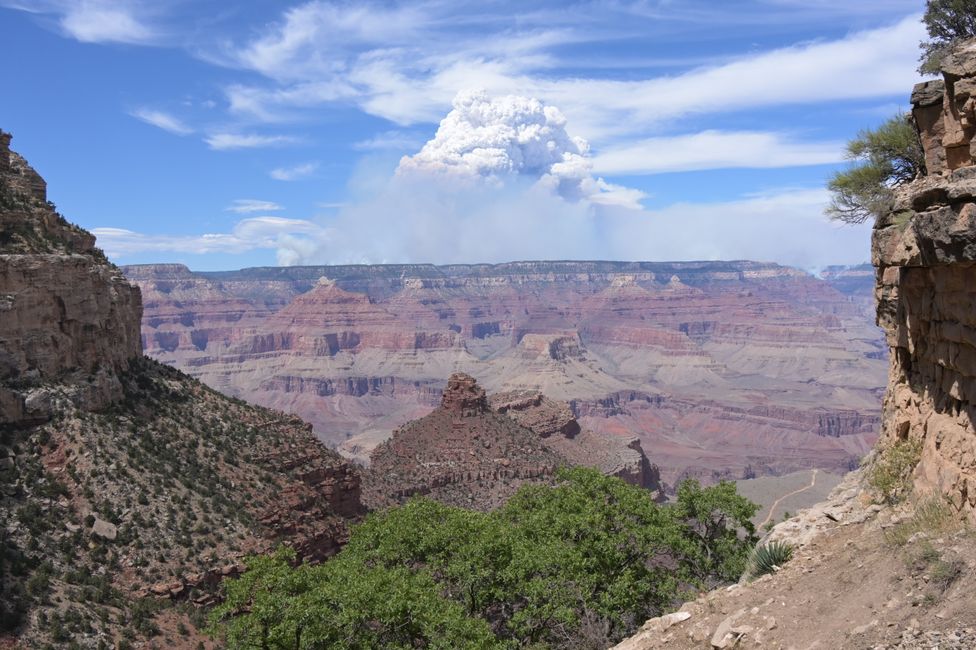 Bright Angel Trail - Vista dell'incendio boschivo