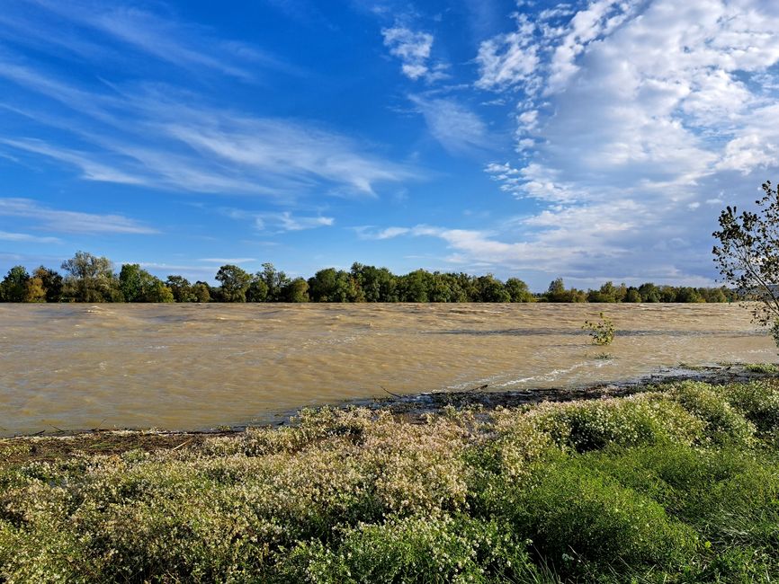 Wellen auf der Saône 