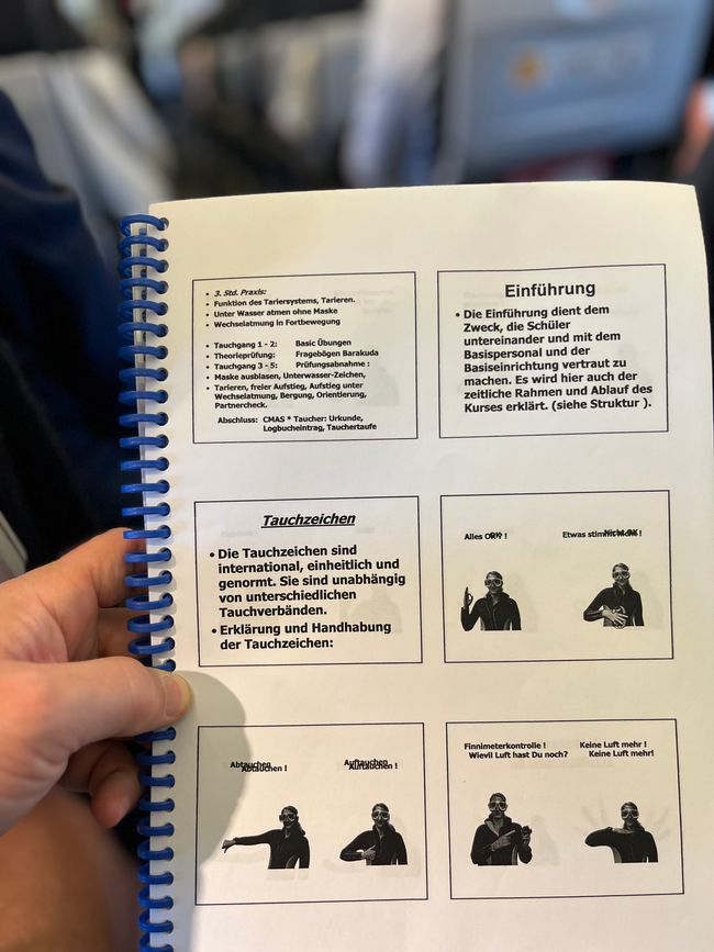 Lernen für die Tauchgänge am Great Barrier 🪸 🐠