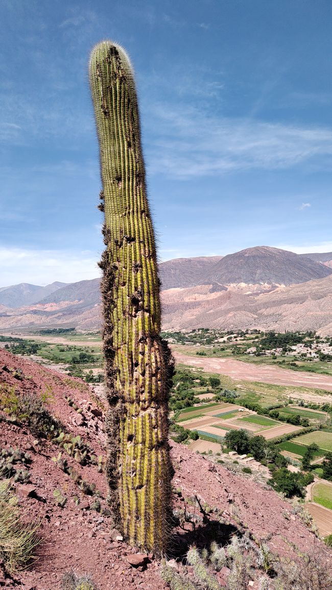 Argentina, Jujuy
