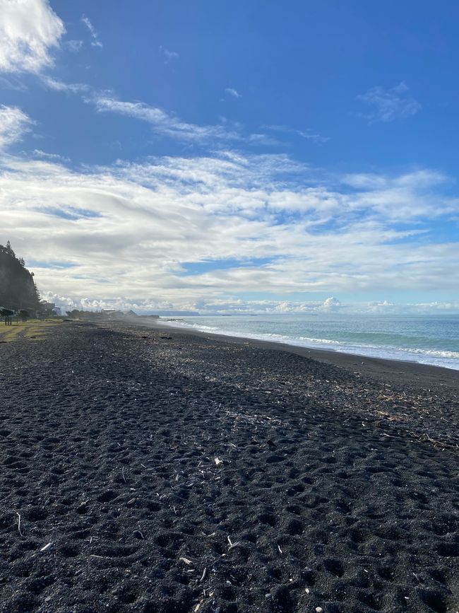 Napier Beach