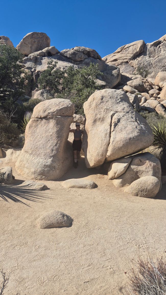 26.09. Joshua Tree Park