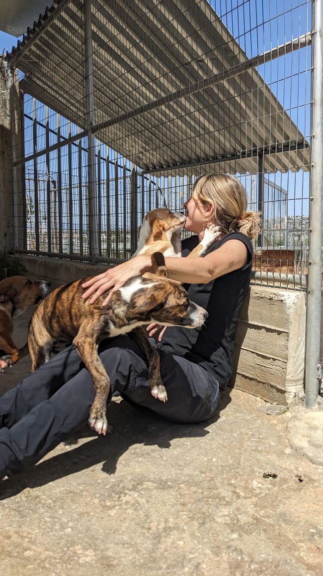 Chi ha lasciato uscire i cani?! Il primo giorno nel rifugio