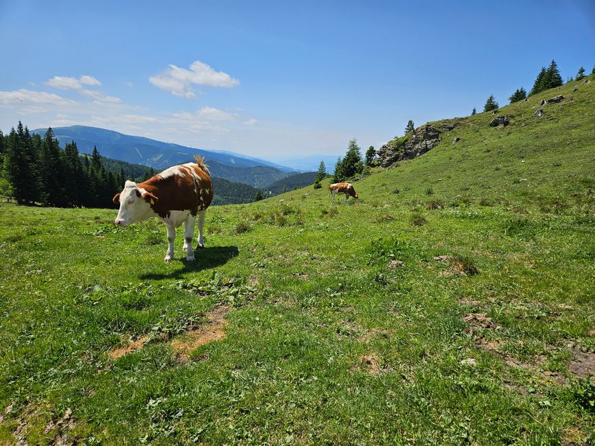 2025 - Luglio - Semmering