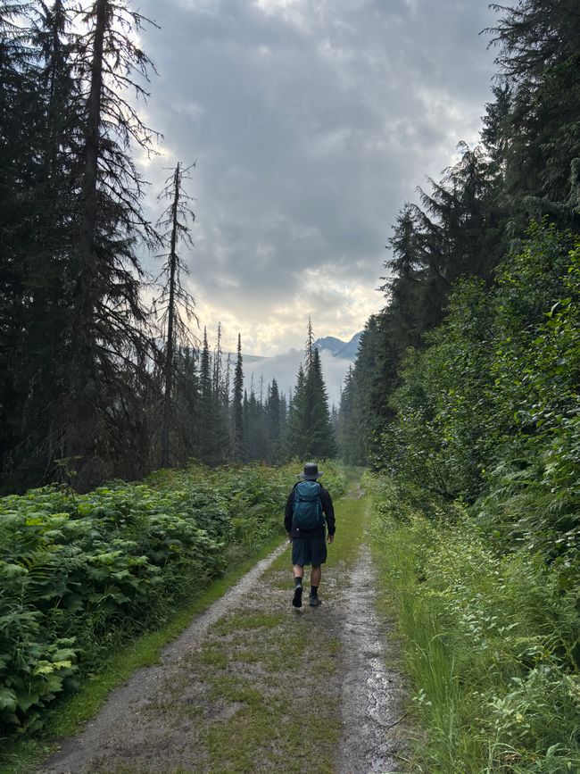 Tag 7 - Glacier Nationalpark