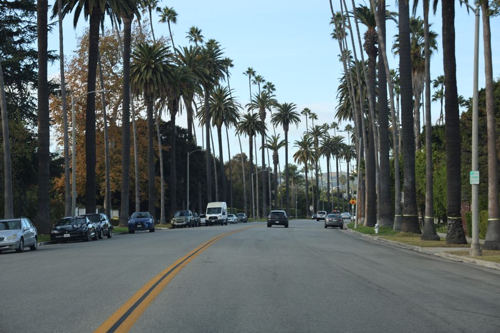 Hollywood