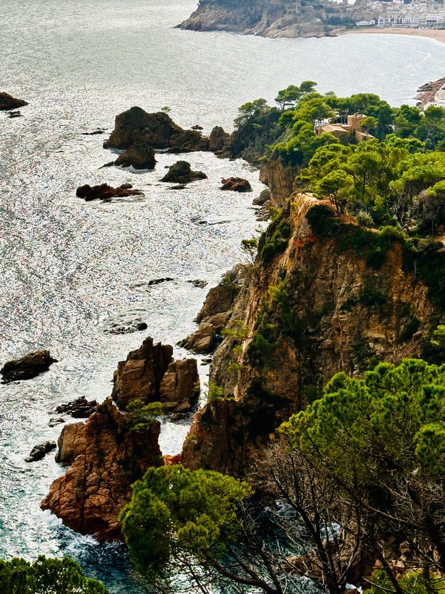 We are doing well, thank you! 
Coastal road from Sant Feliu de Guíxols to Tossa de Mar