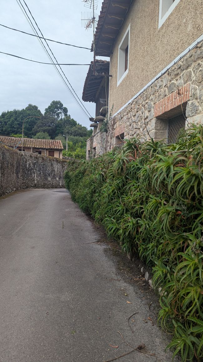 13. Stage Camino del Norte from Barro to Camango