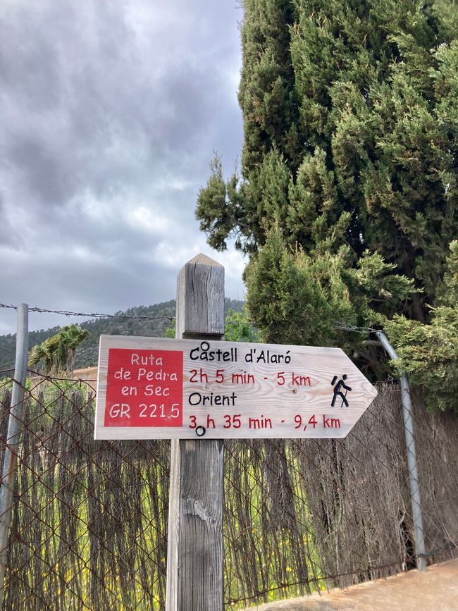 Mit dem Fahrrad von Binissalem zum Castle d‘ Alaro