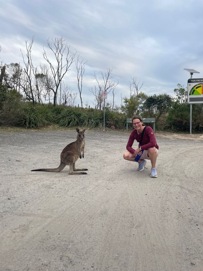  Staying alive in Australia