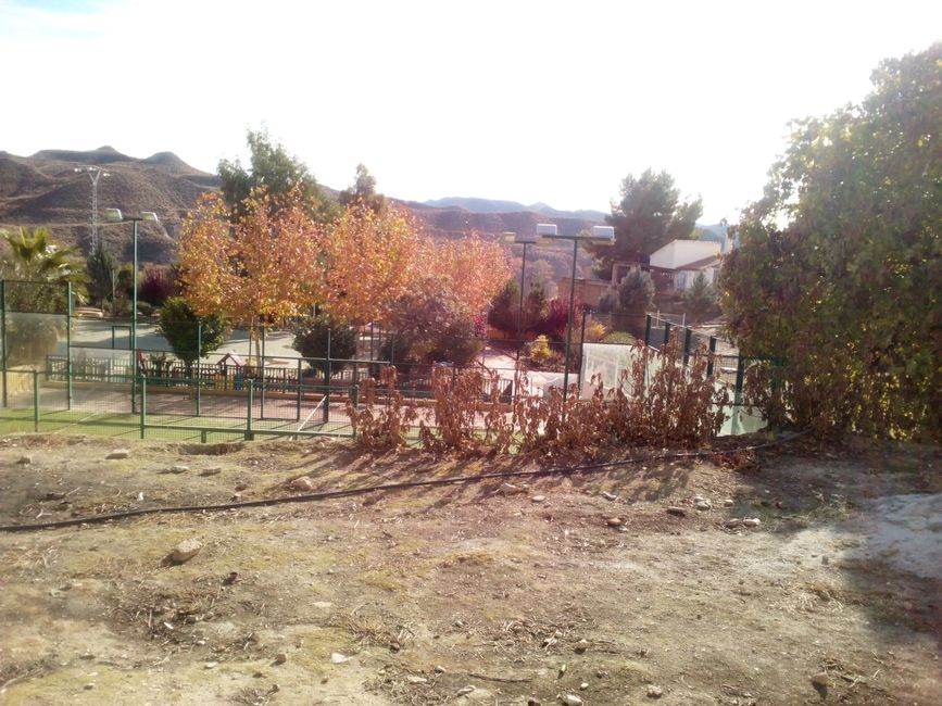 Fotos de Castilléjar (de los Ríos) (Granada) (diciembre 2022) (parte 1)