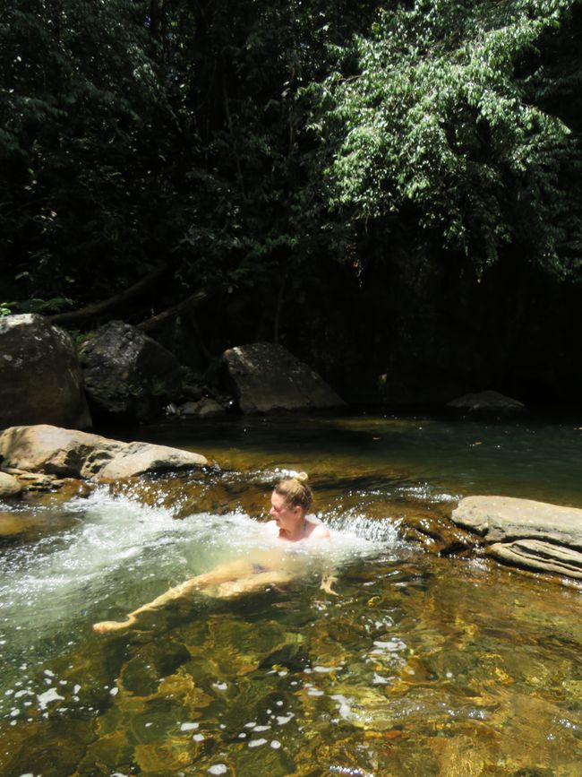 Sinharaja - l'ultima foresta pluviale dello Sri Lanka