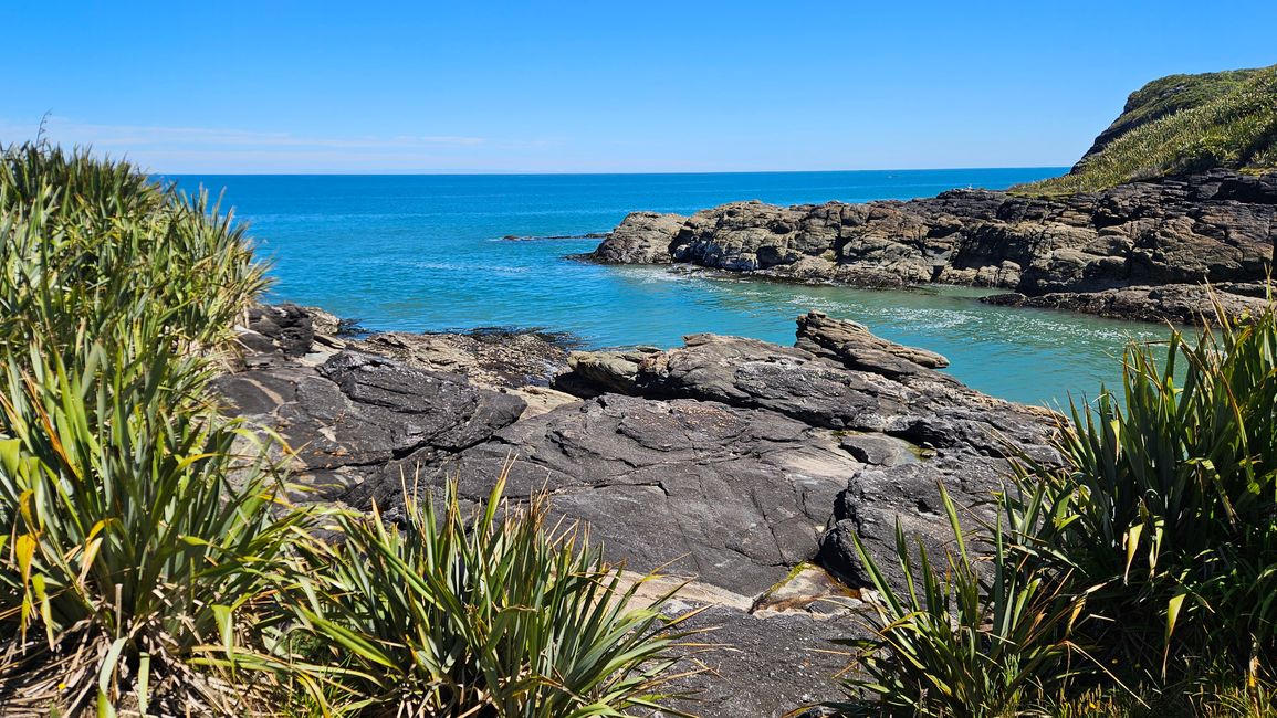 Charleston - Punakaiki - Greymouth - Arthur's Pass