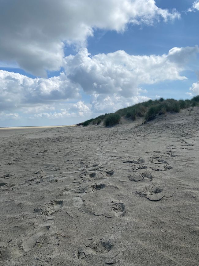 27.05.2024 Montag 