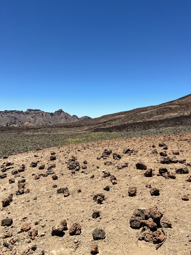 Alien landschaft