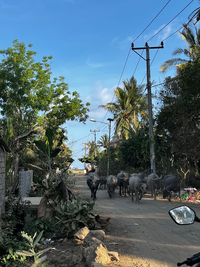 Lombok