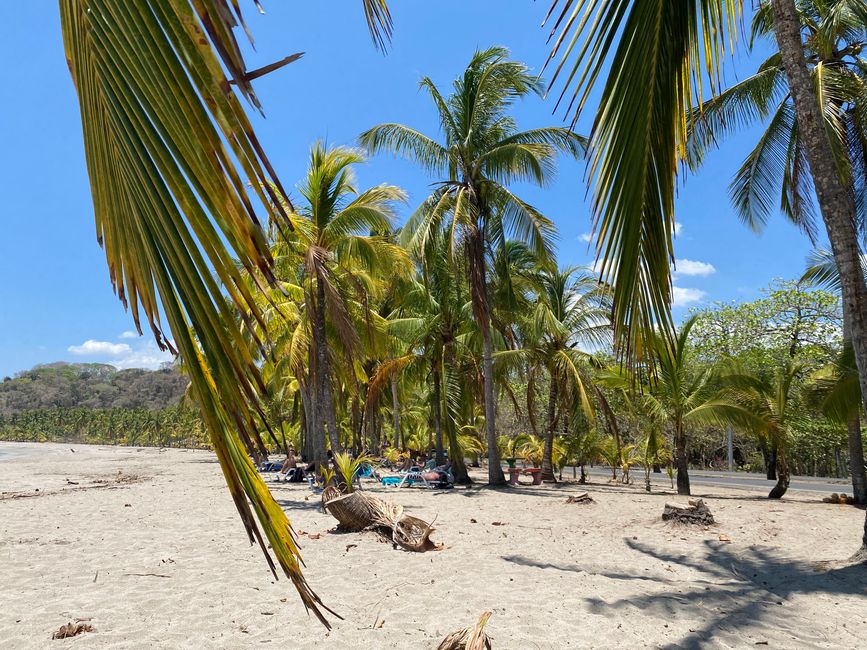 Playa Carrillo/Sámara Tag II