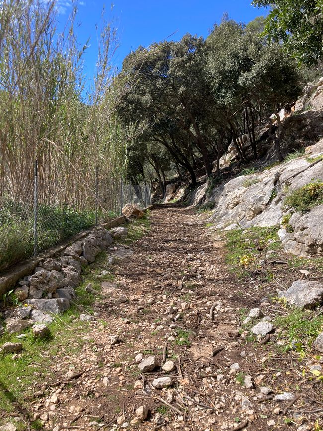 Wandern… von Santa Maria aus zum Tramuntana Gebirge…soweit meine Füße mich tragen