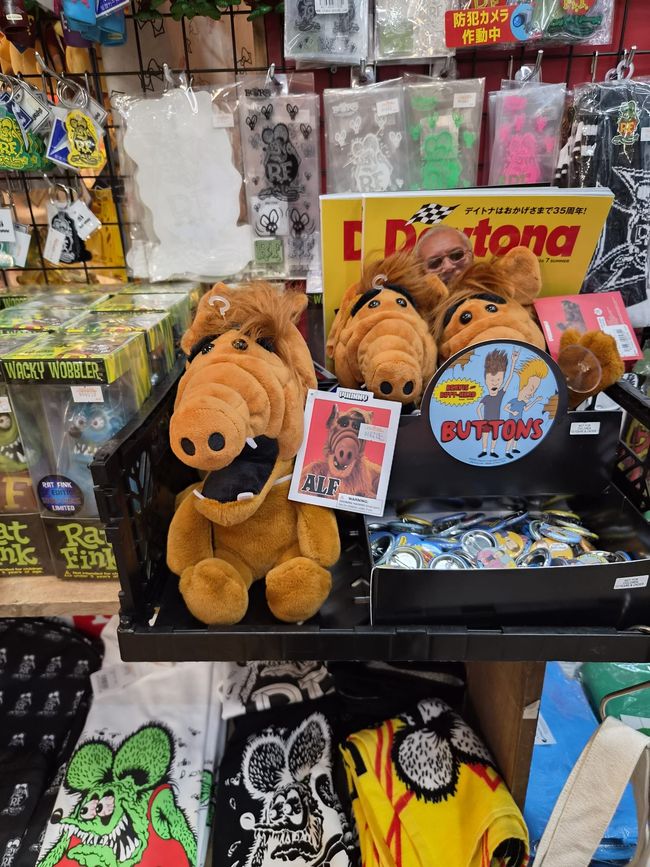 Hier ist Alf 