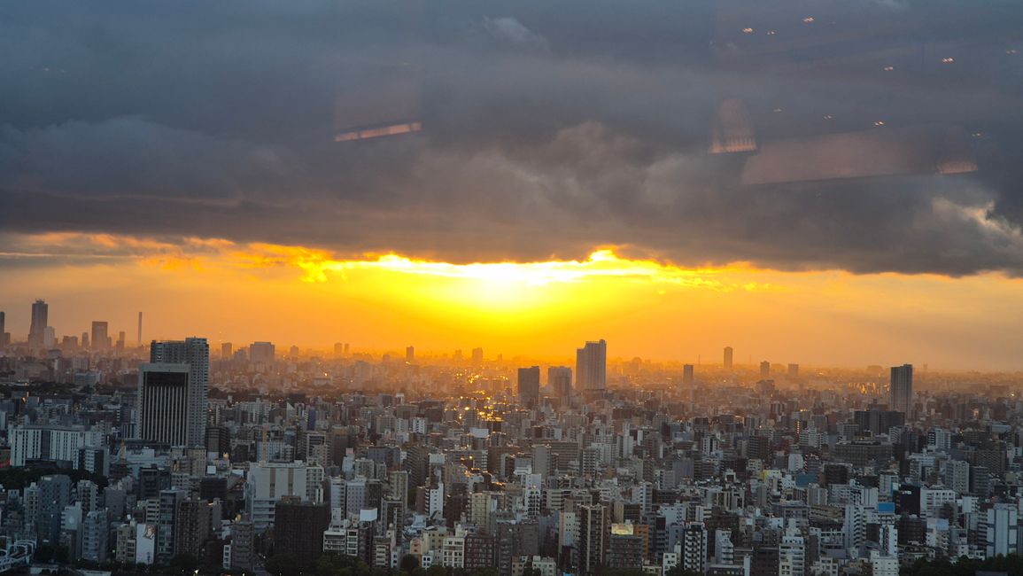 Tokio