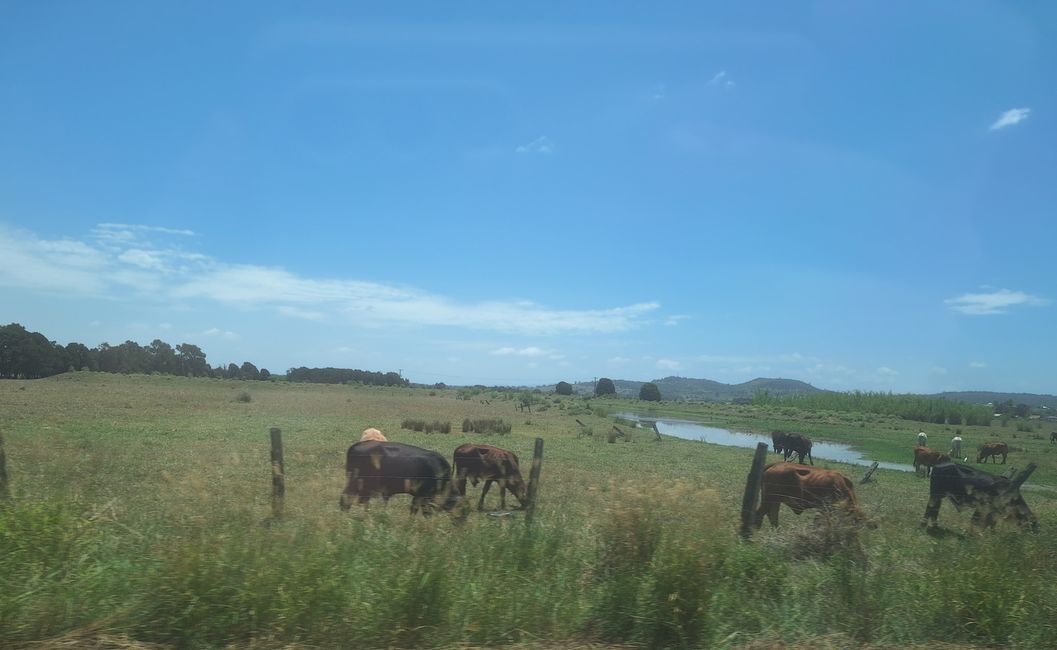 Ein Teil der Uckermark am anderen Ende der Welt