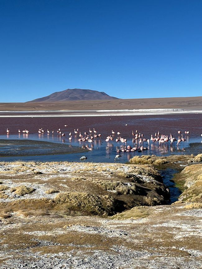 Salar de Uyuni