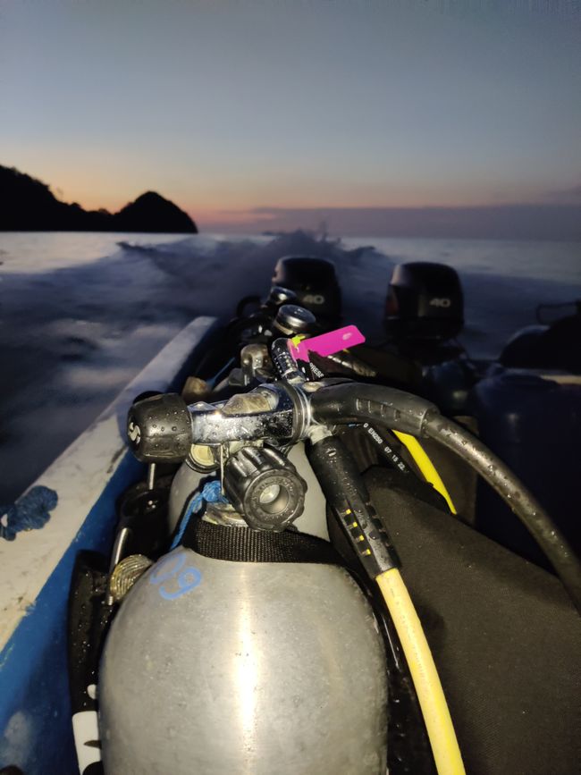 Travis ai Triton Bay Divers: Squali e altro