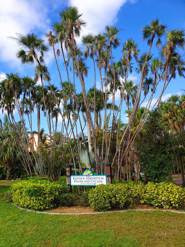 Gizella Kopsick Palm Arboretum