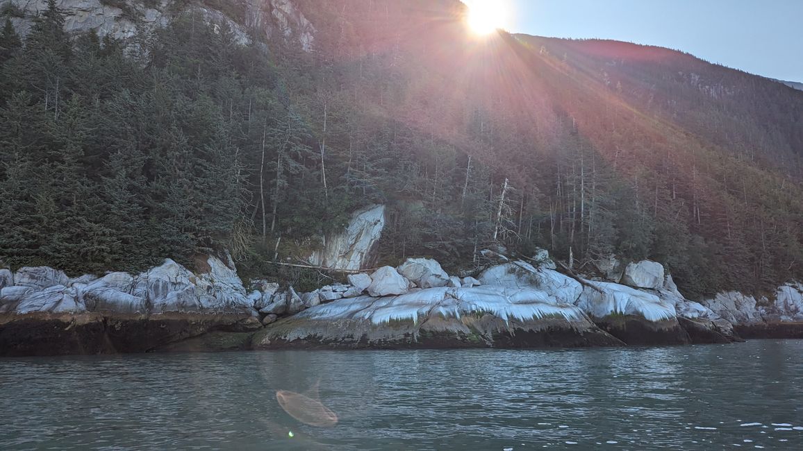 Etiqueta 24: Viaje a Juneau: Erupción de glaciares y 20.000 turistas