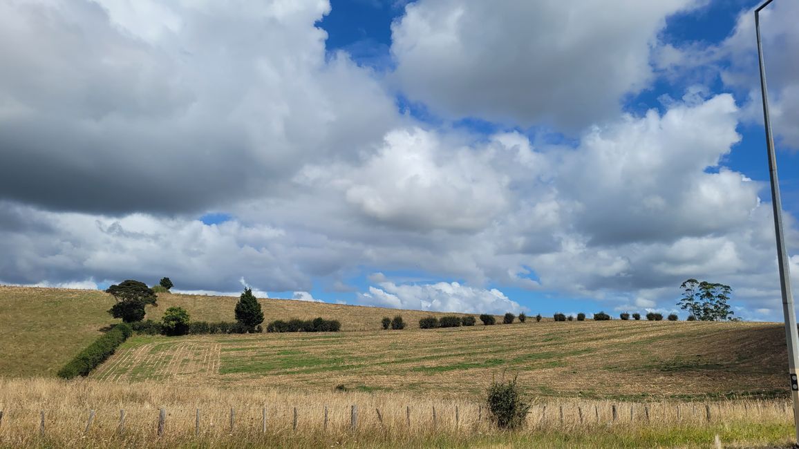 29.Januar-27.Februar 2025 Neuseeland
20.Januar