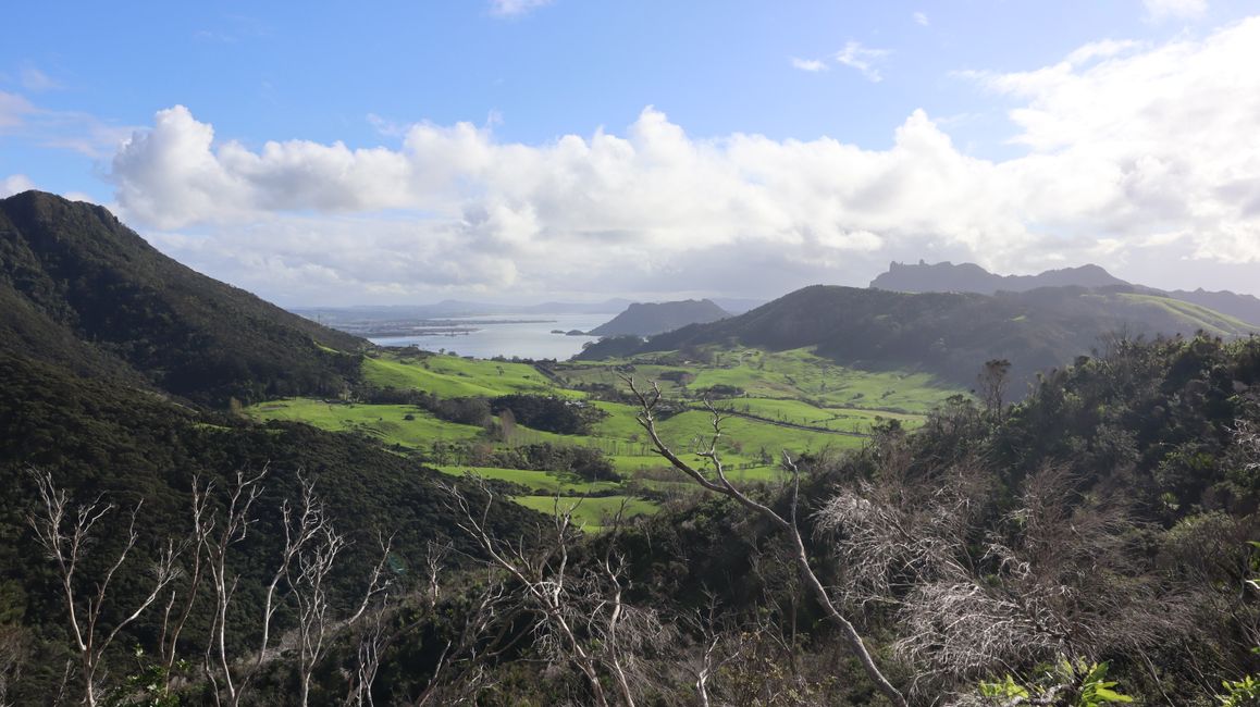 Bream Head