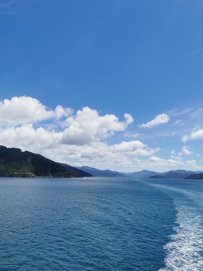 Fährfahrt nach Wellington