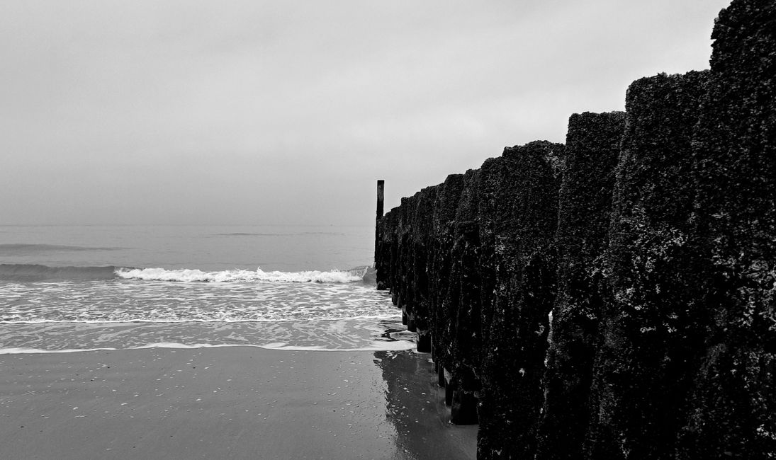 Am Meer