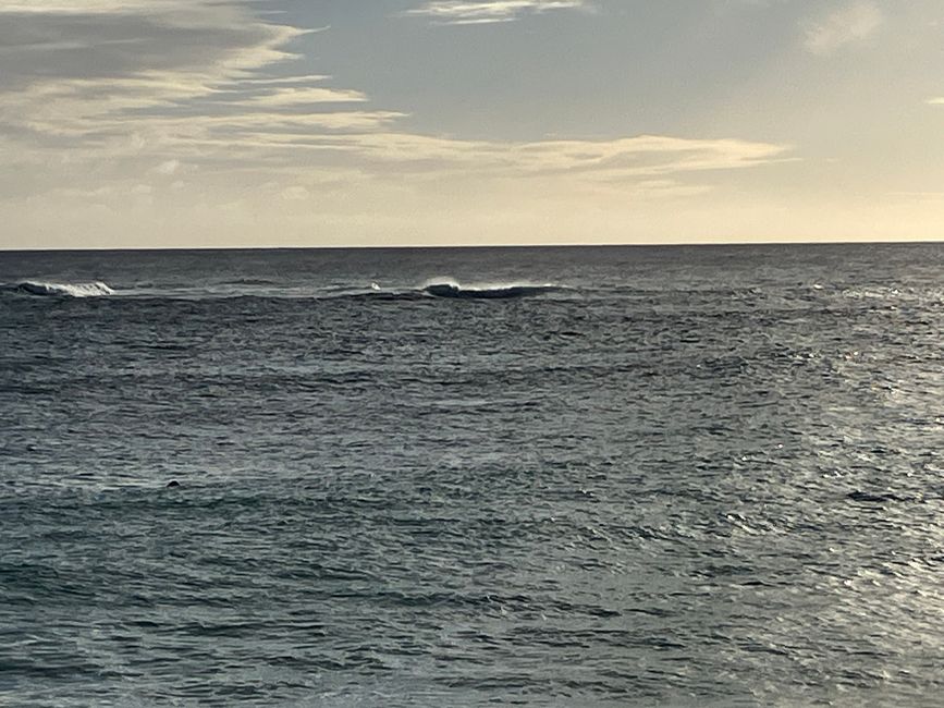 D18 - 7am Yoga with Norbi and Poipu beach with monk seals, sea turtles and Humuhumunukunukuapua‘a