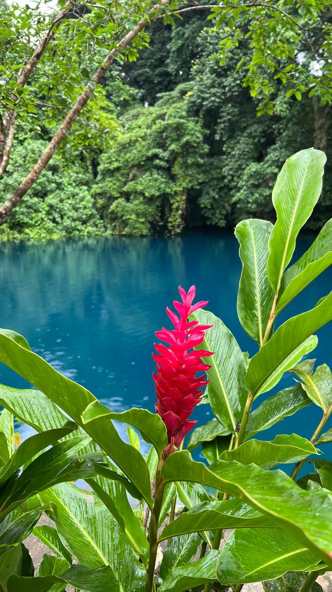 Matevulu Blue Hole