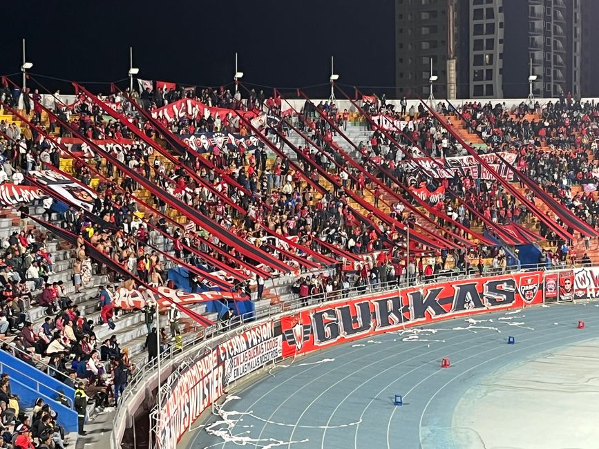 Fans of Wilstermann