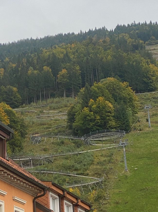 Die Rodelbahn am Hasenhorn ist eher etwas für Mutige
