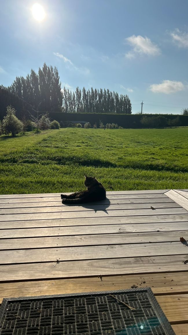 Unser täglicher Ausblick bleibt einfach schön
