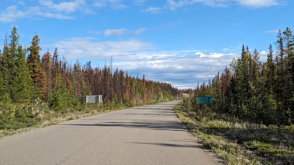 Stewart Cassiar Hwy - Residuo de un incendio forestal