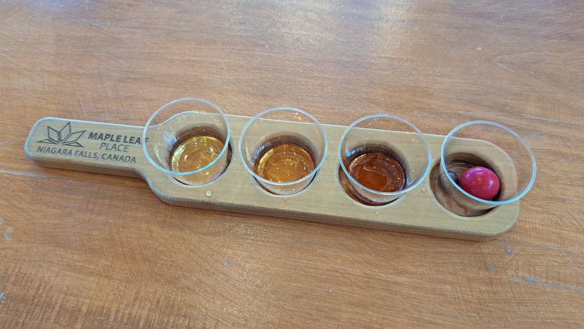 Maple-Sirup Testing