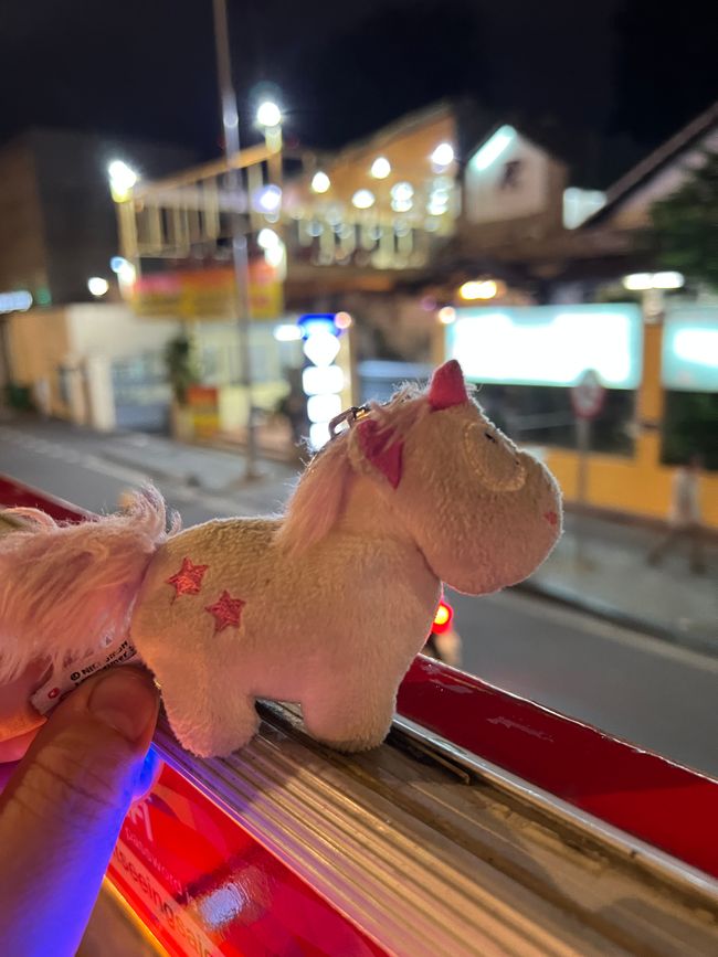 Tag 8 - Ho-Chi-Minh-City: A Crazy Christmas Eve in the Big City