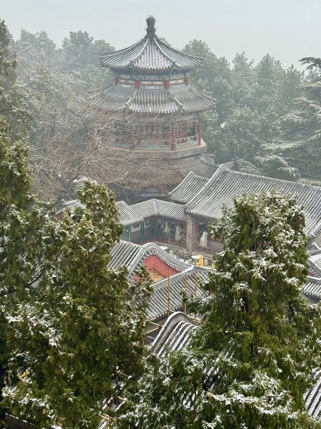 CHINA 🇨🇳 & JAPAN 🇯🇵