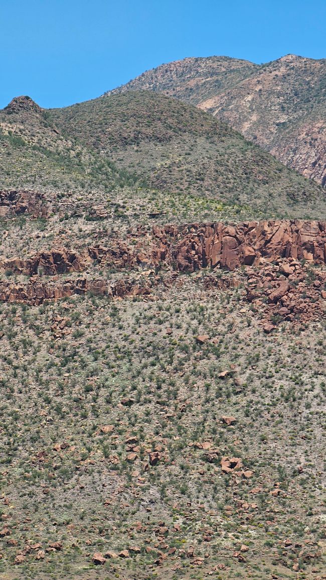 Mirador Sotol Vista
