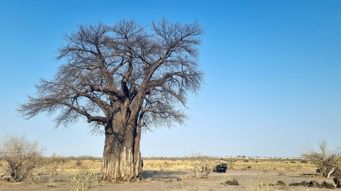 Simbabwe / Botswana 2024