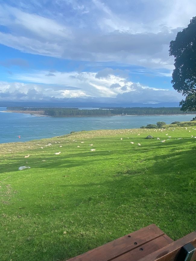 Bahía de Plenty