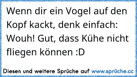 Zeit zu starten...