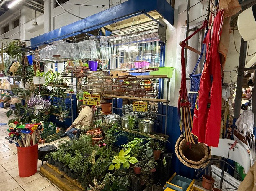 Im Mercado Central