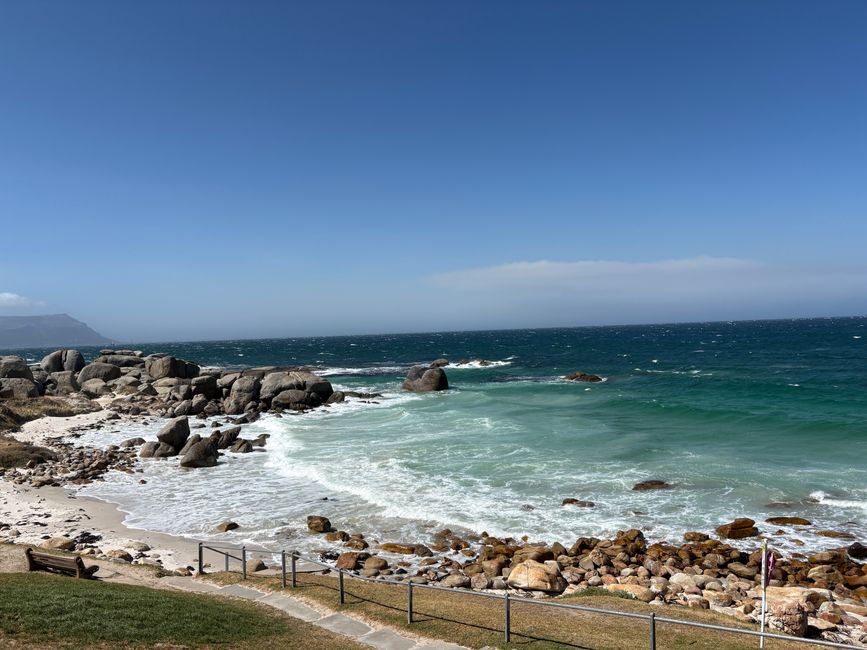 南非🇿🇦第二周