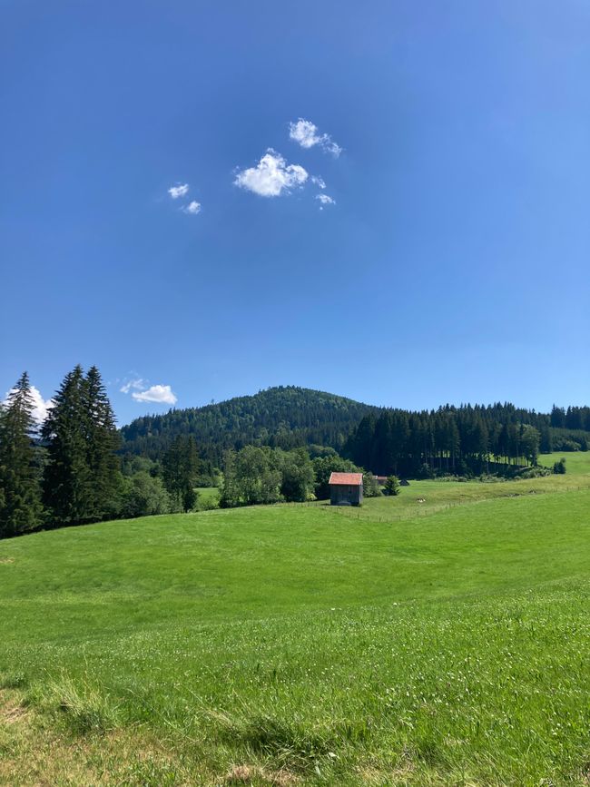 Heidi…es gibt sie noch, nur jetzt auf der Alpe Reuterwanne