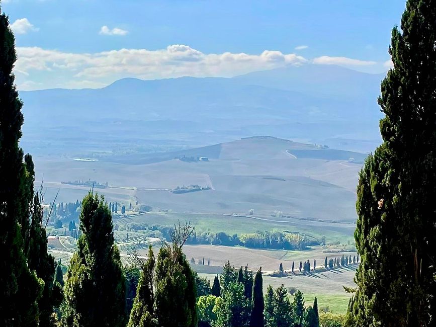 Des champs à perte de vue.